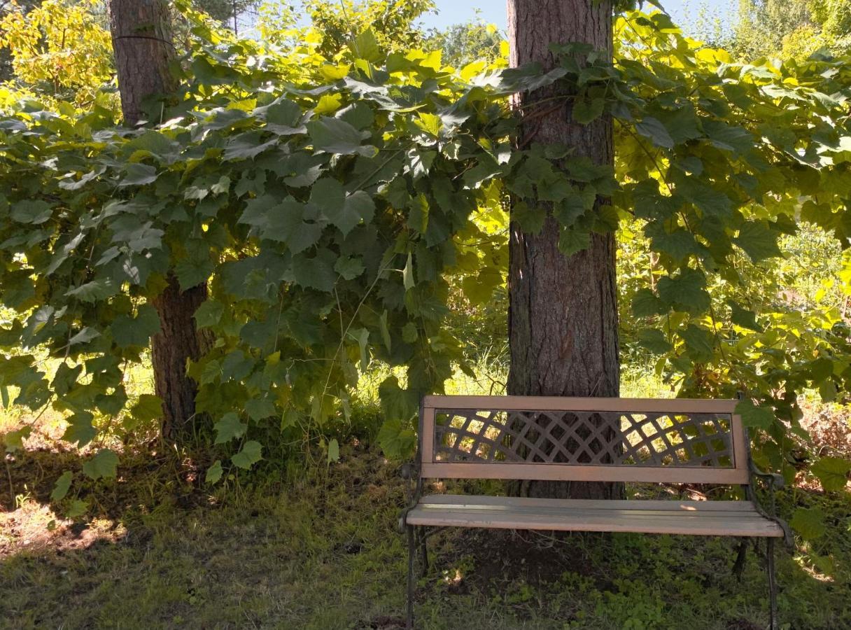 Zem Priedem Villa Lapmežciems Buitenkant foto
